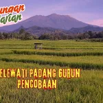 Renungan Harian Bulan Juni 2025 (6)